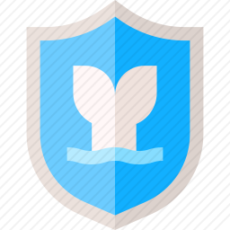 <em>鲸鱼</em>