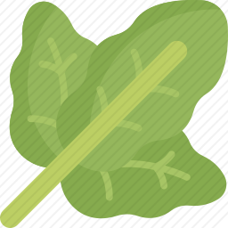 菠菜