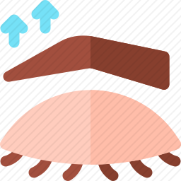 眉