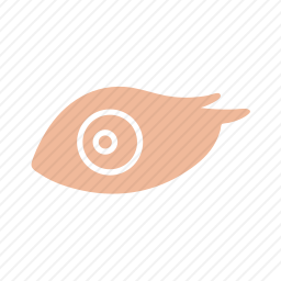 眼睛