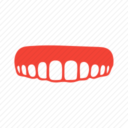 牙齿