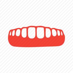 牙齿