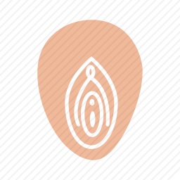 阴道