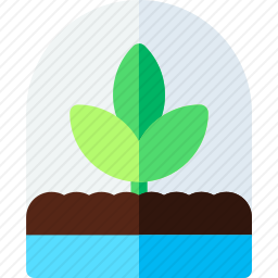 植物