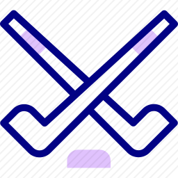 <em>曲棍球</em>