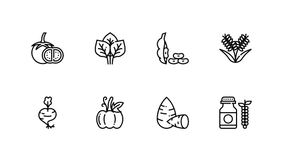 蔬菜