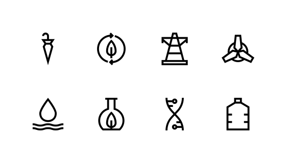 生态