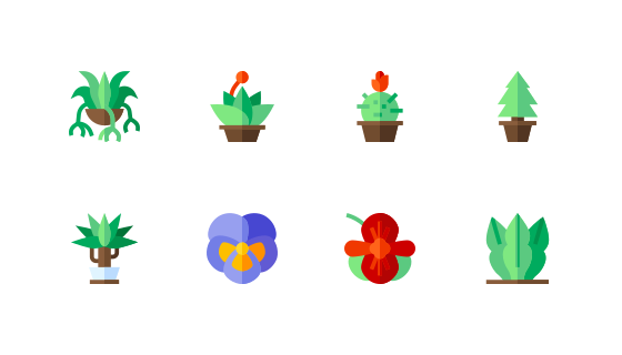 室内植物