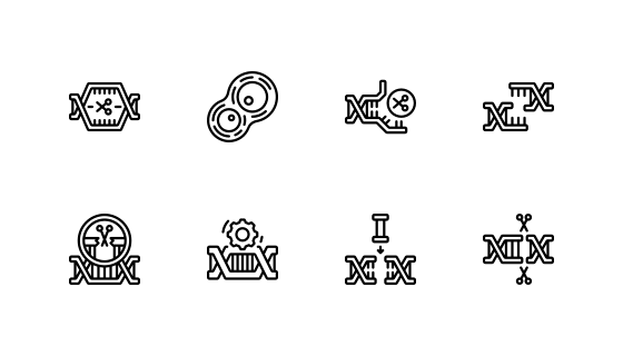 基因