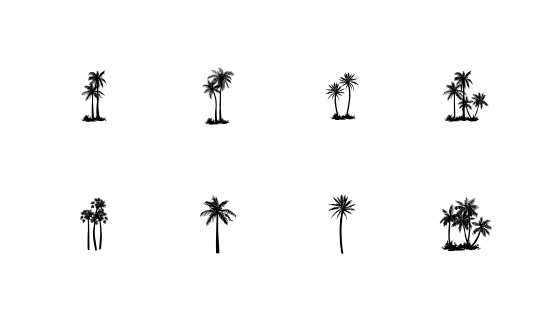 棕榈树