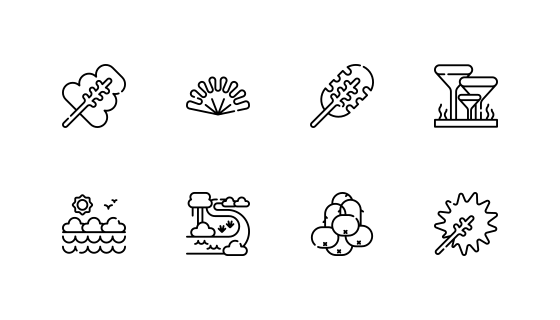 雨林
