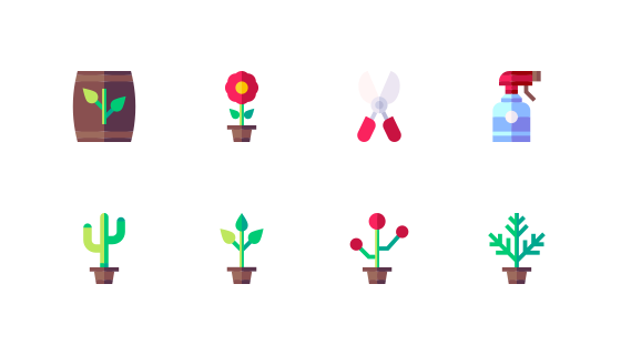 室内植物
