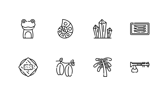 马达加斯加
