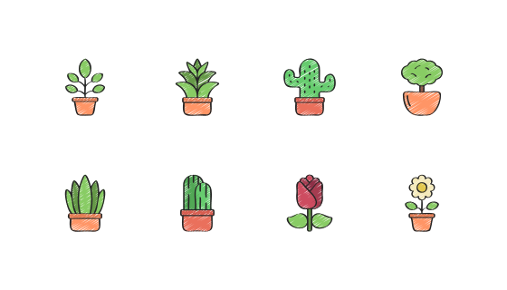 植物与Flowers