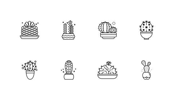 仙人掌