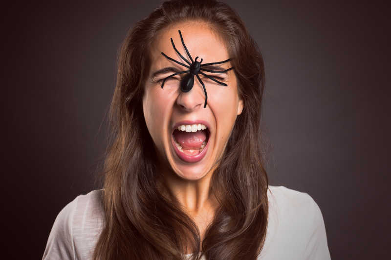 女人脸上的蜘蛛