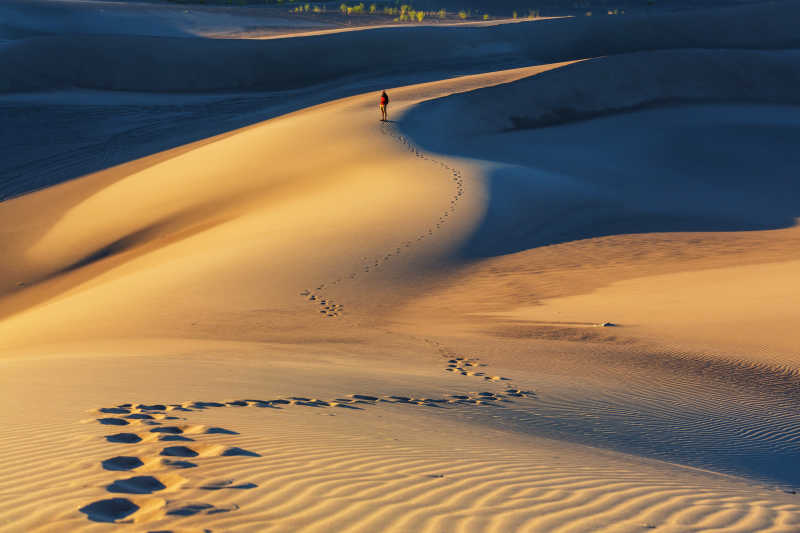 沙漠砂纹景观
