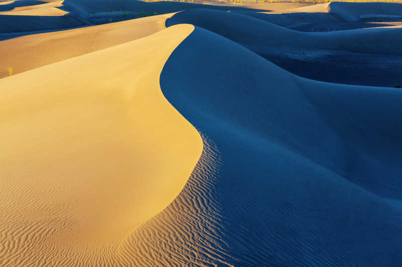 沙漠的砂纹景观