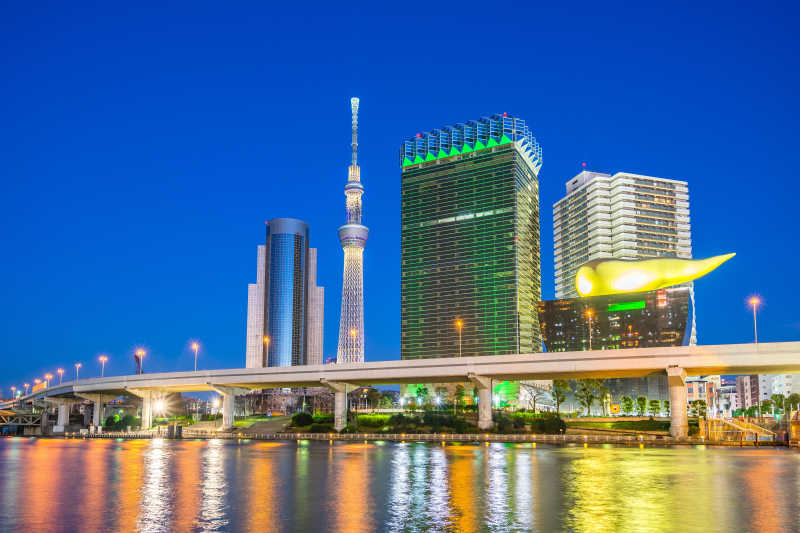 美丽日本东京城市夜景