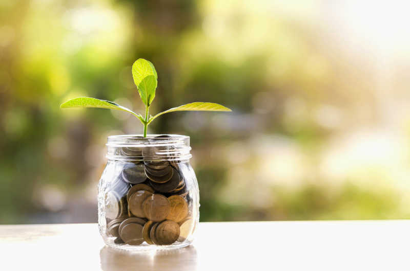 储蓄货币中的植物投资与利益概念