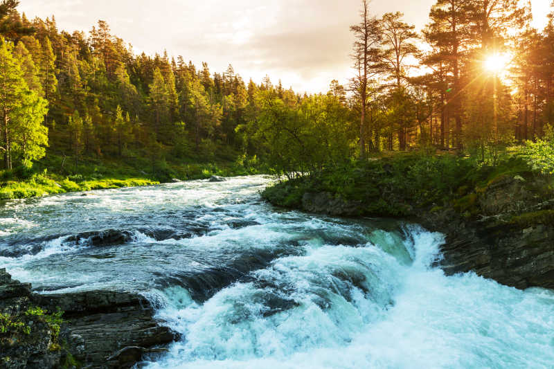 美丽清新的挪威的河流