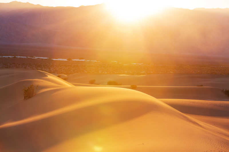 太阳光下的金黄色的沙丘