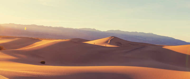 干旱的沙漠沙丘