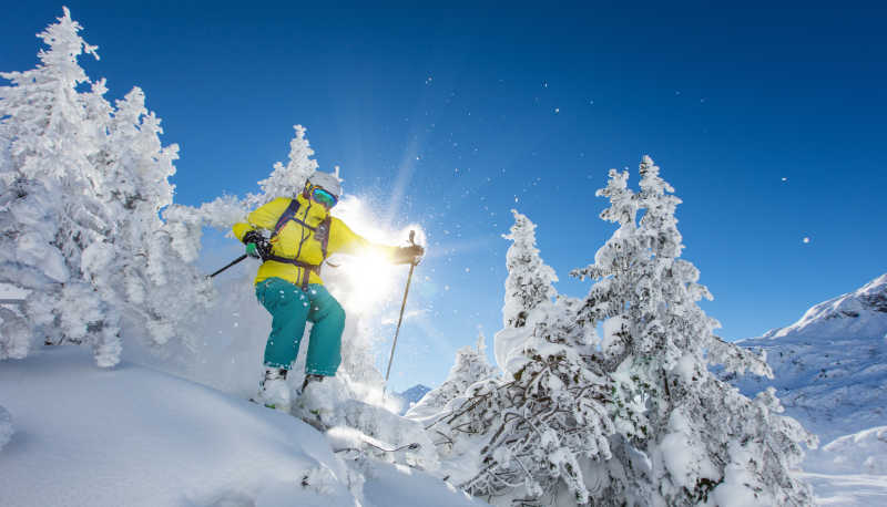 在新鲜的粉雪上滑雪