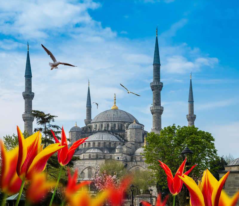 土耳其首都东部旅游城市伊斯坦布尔