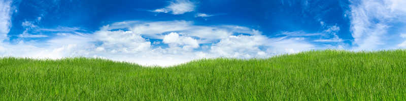 蓝色的天空和绿色的草地