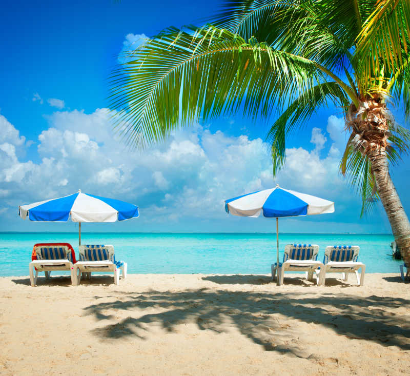 海边沙滩椅和棕榈树特写
