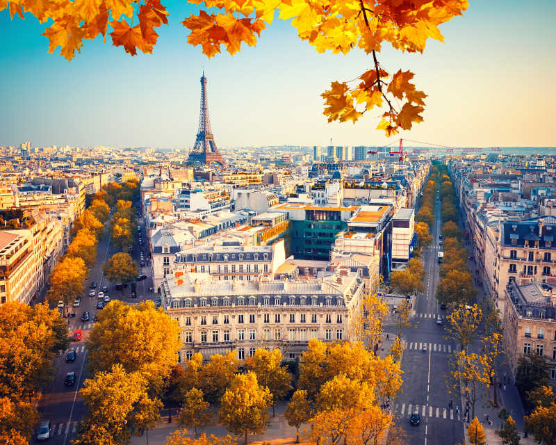 秋叶下的法国巴黎埃菲尔铁塔远景