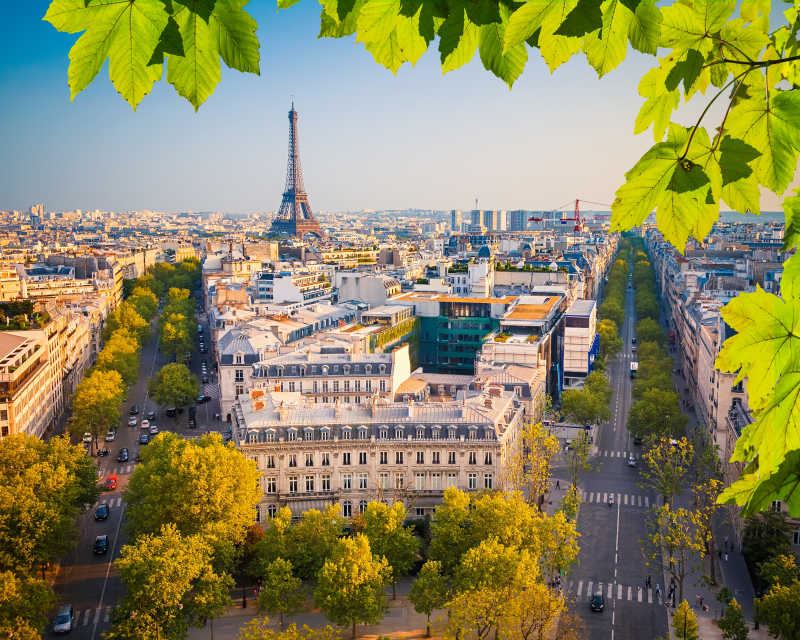绿叶下的法国巴黎埃菲尔铁塔远景
