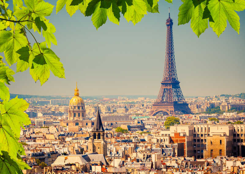 法国巴黎绿叶下的埃菲尔铁塔