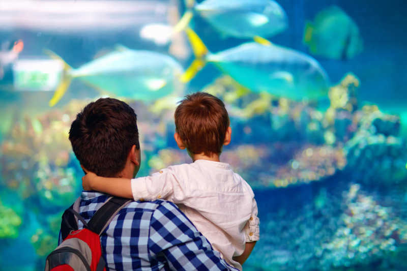 父亲和儿子在水族馆