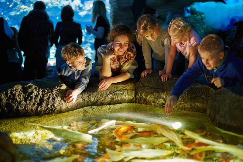 水族馆里的游客和趴在小池塘上的孩子
