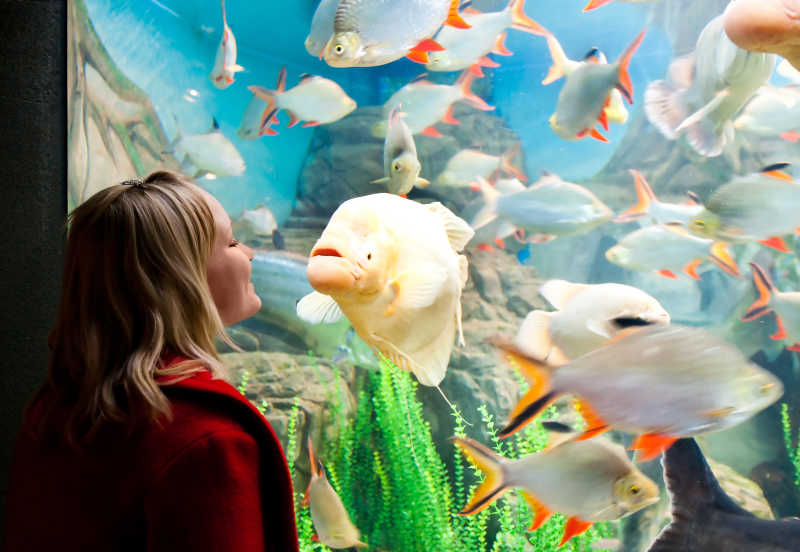 女孩看着水族馆里成群结队的鱼