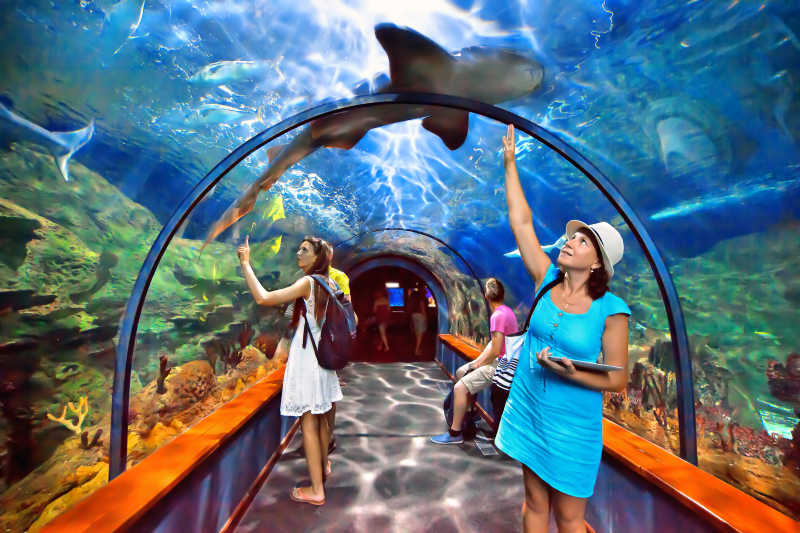 水族馆里的游客和各种海洋生物