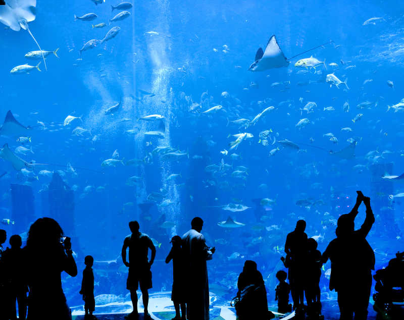 大型水族馆的游客剪影