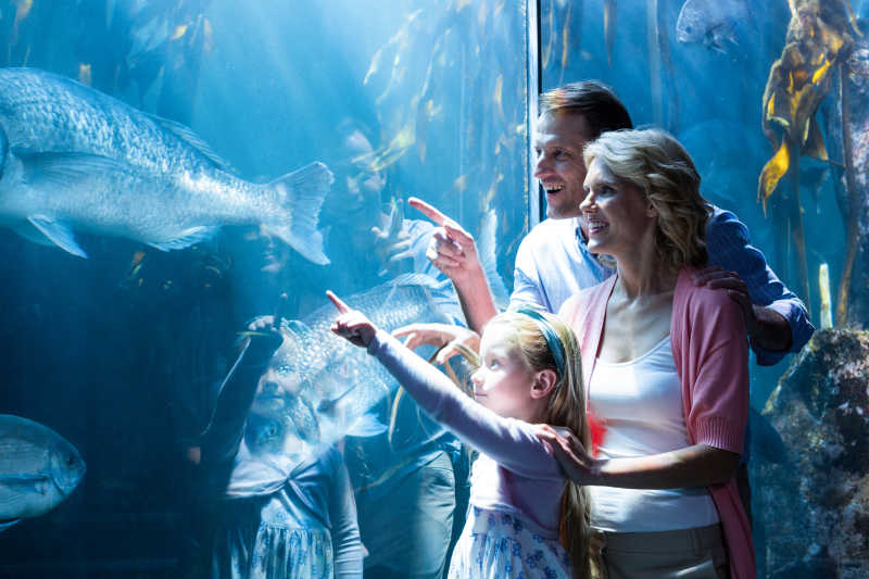 幸福的一家人在水族馆里兴奋的指着鱼