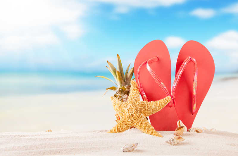 夏日海滩红色凉鞋和海星贝壳