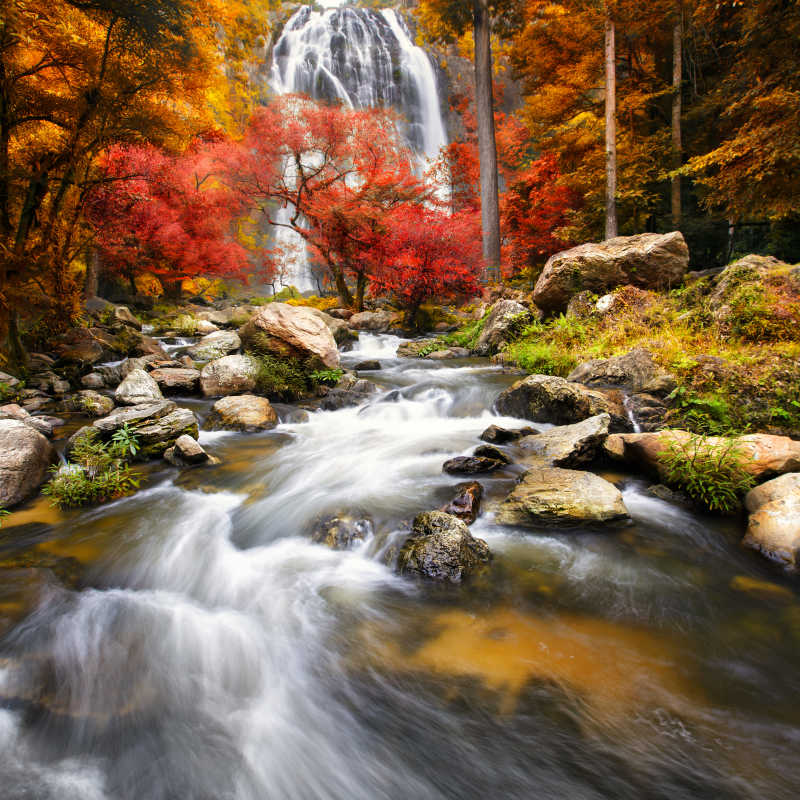 秋季树木岩石下的瀑布