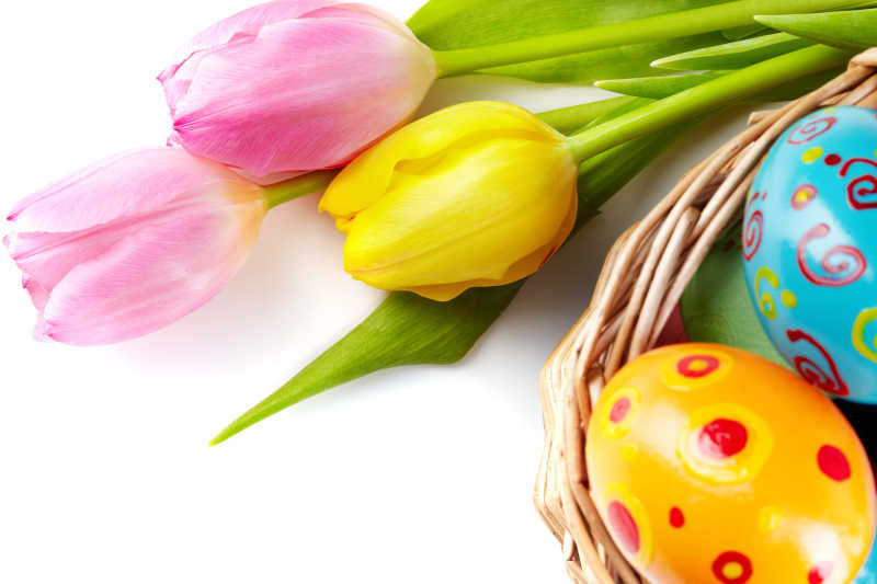 郁金香花束和复活节彩蛋篮子特写