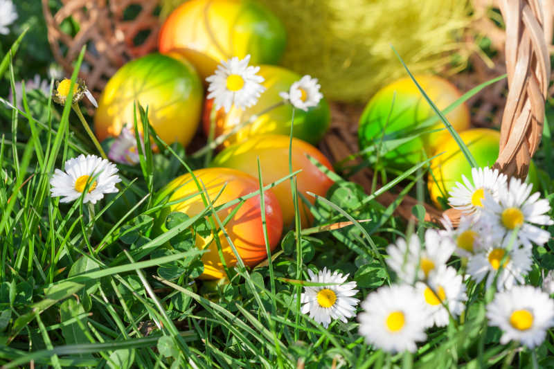 绿草和鲜花中的复活节彩蛋