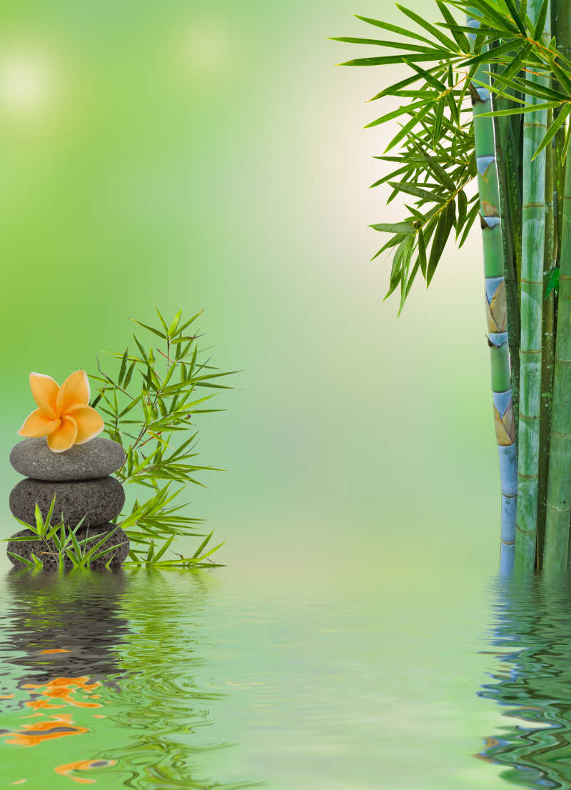 水面绿色竹子自然放松概念特写