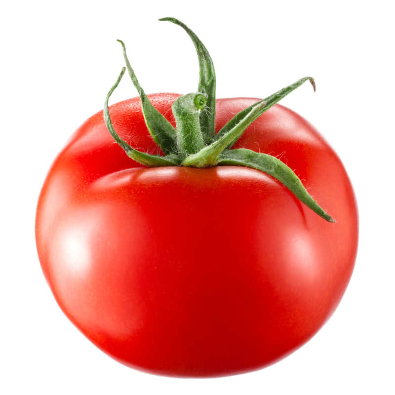 独立在白色背景上的红色西红柿