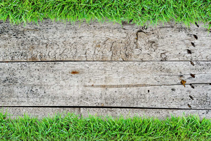 草背景的木地板