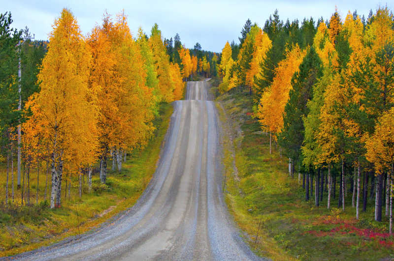 芬兰秋季的美丽道路