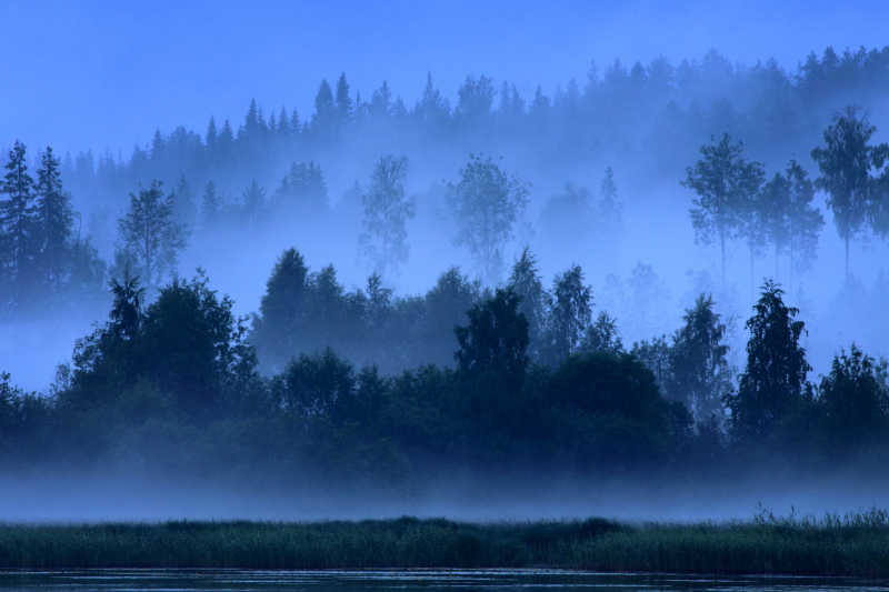 芬兰森林的梦幻夜景