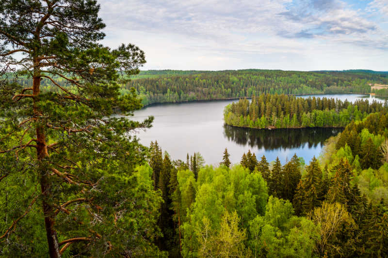 芬兰森林湖